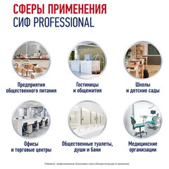 Средство универсальное для удаления пятен 500 мл, СИФ &laquo;Professional&raquo;, распылитель