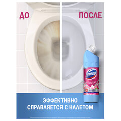 Универсальное чистящее средство кислотное 750 мл, ДОМЕСТОС &laquo;Цветущая магнолия&raquo;, антиналет и блеск