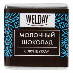 Шоколад порционный с фундуком и печеньем ДЭК WELDAY (ВЭЛДЭЙ), молочный 27%, 400 г (80 плиток по 5 г), 881096