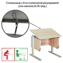 Стол-парта регулируемый &laquo;ДЭМИ&raquo; СУТ.28, 900&times;530&times;530-815 мм, серый/<wbr/>ясень (КОМПЛЕКТ)