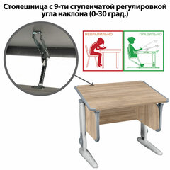 Стол-парта регулируемый &laquo;ДЭМИ&raquo; СУТ.41, 750&times;550&times;530-815 мм, серый каркас, пластик серый, дуб сонома (КОМПЛЕКТ)
