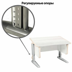 Стол-парта регулируемый &laquo;ДЭМИ&raquo; СУТ.43, 1000&times;550&times;530-815 мм, серый каркас, пластик бежевый, рамух белый (КОМПЛЕКТ)